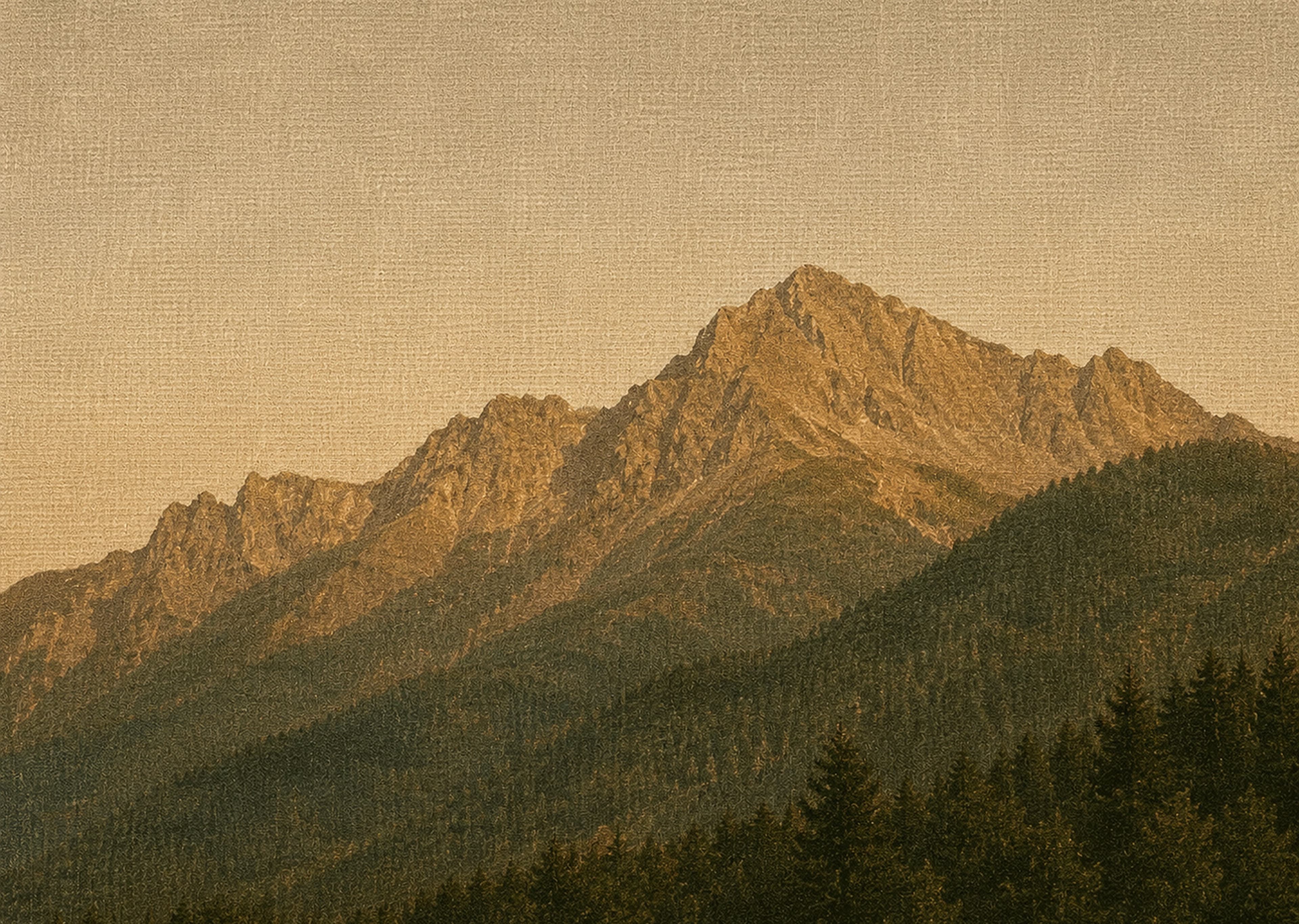Portfolio Banner
